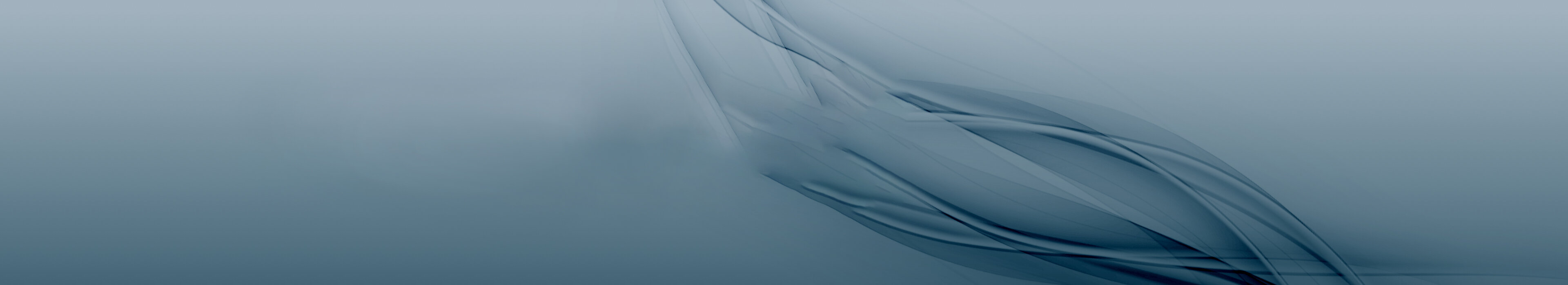 Blue header image, symbolizing professionalism and continuing education at Management School St. Gallen.